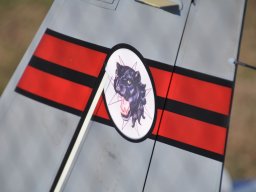 Flugtag 2022