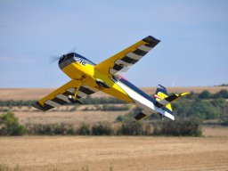 Flugtag 2022