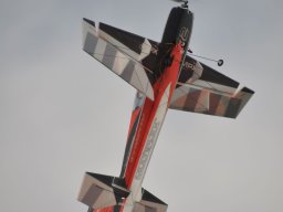 Flugtag 2022