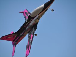 Flugtag 2022