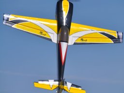 Flugtag 2022