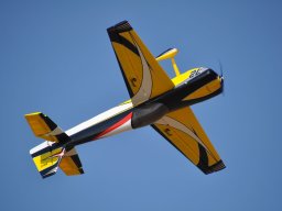 Flugtag 2022