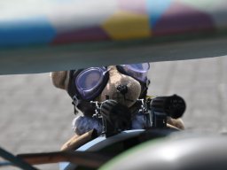 Flugtag 2022