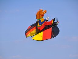 Flugtag 2022